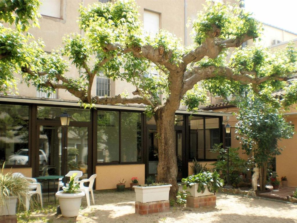 Hostal Fabrellas Caldes de Malavella Exterior photo